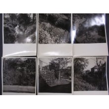 他の写真2: 昭和２７年８月、埋められる千川　写真６枚　練馬区付近　千川上水　August,1952